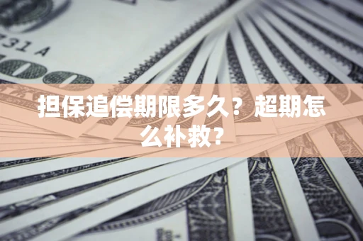 武汉担保追偿期限多久？超期怎么补救？