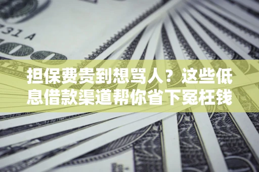 武汉担保费贵到想骂人？这些低息借款渠道帮你省下冤枉钱