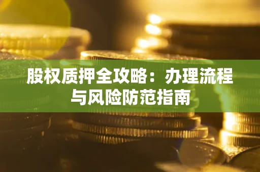 武汉股权质押全攻略：办理流程与风险防范指南