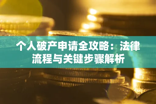 武汉个人破产申请全攻略：法律流程与关键步骤解析