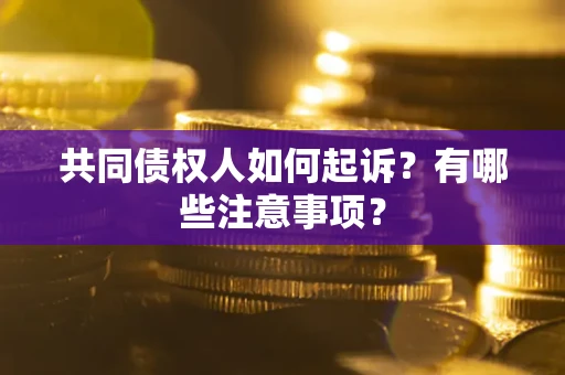 武汉共同债权人如何起诉？有哪些注意事项？